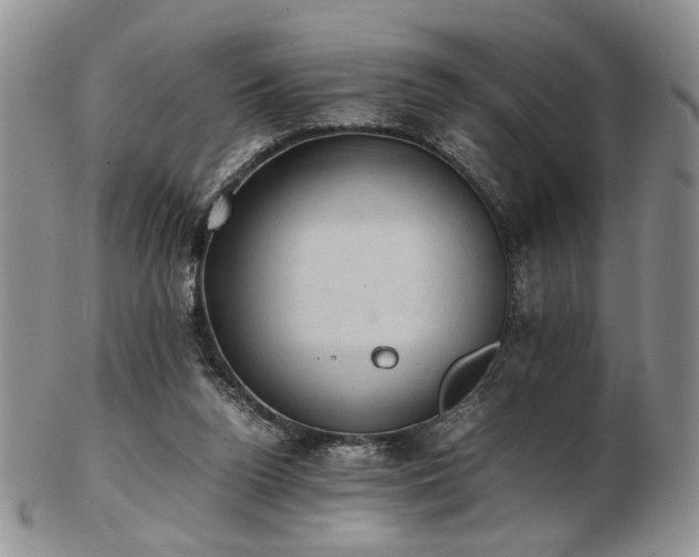 X0000103140160200808221223