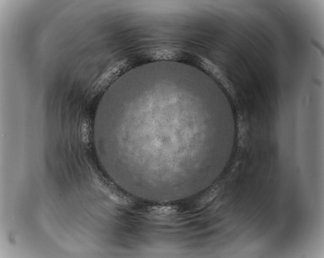 X0000103140161200808221223