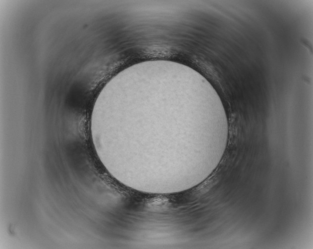 X0000103140162200808221224