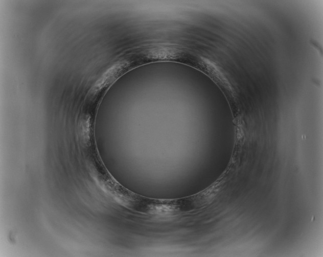 X0000103140163200808221224