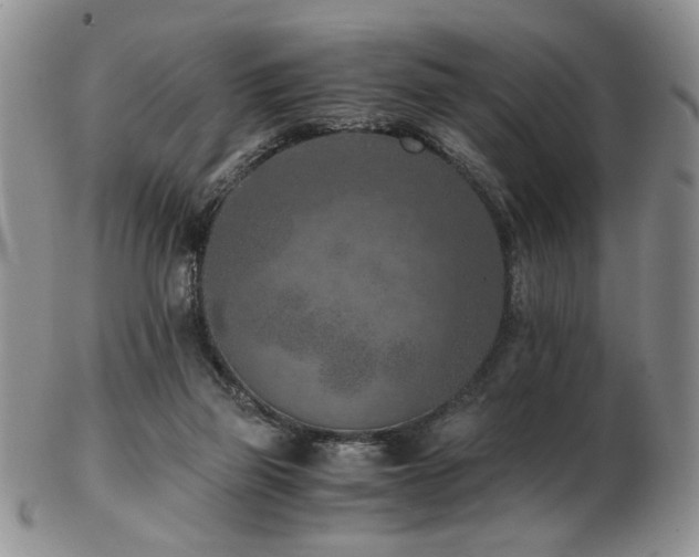 X0000103140165200808221224