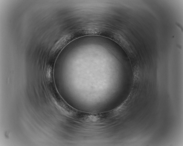 X0000103140166200808221224