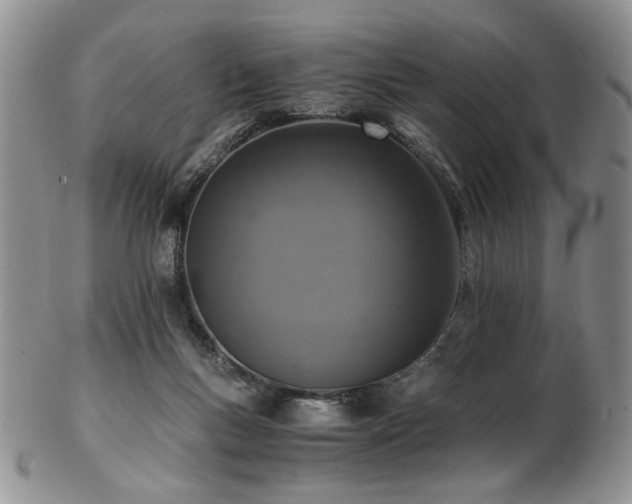 X0000103140167200808221224