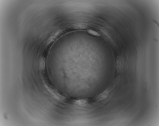 X0000103140168200808221224