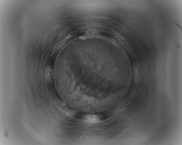 X0000103140169200808221224