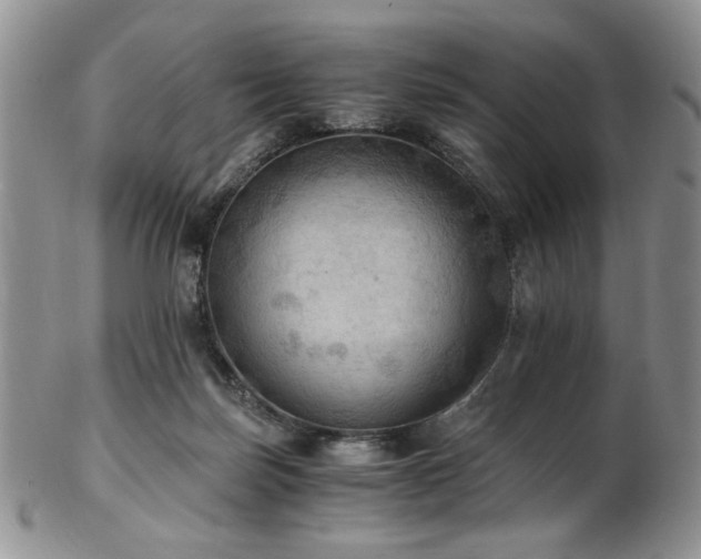 X0000103140171200808221224