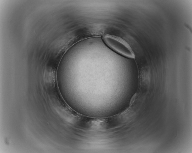 X0000103140172200808221224