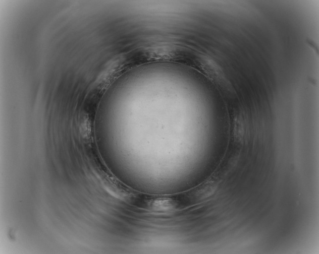 X0000103140173200808221224