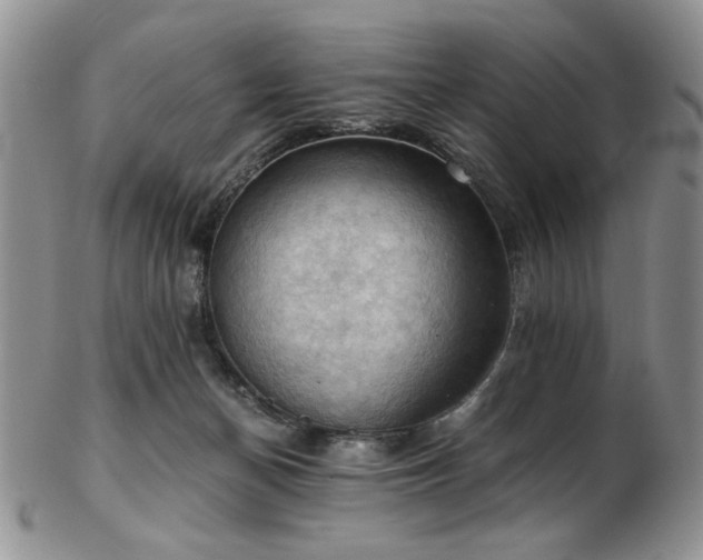 X0000103140174200808221224