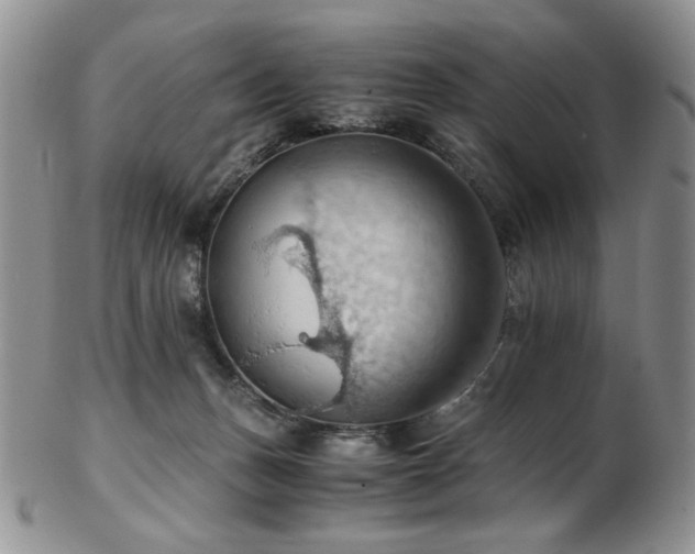 X0000103140175200808221224