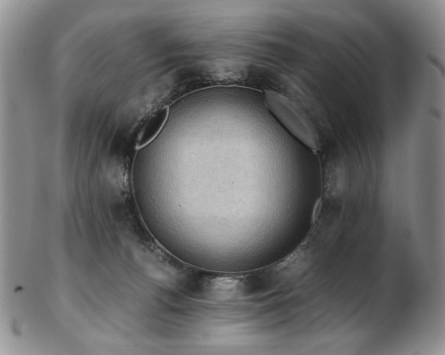 X0000103140176200808221224