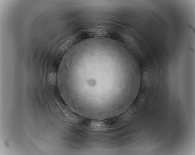 X0000103140177200808221224