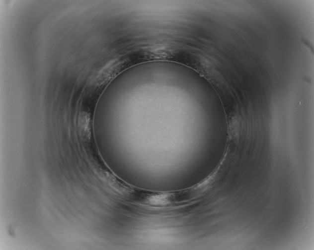 X0000103140178200808221224