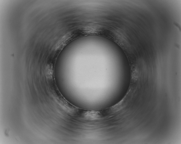 X0000103140179200808221224