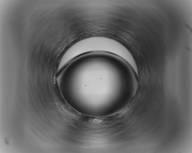 X0000103140180200808221224