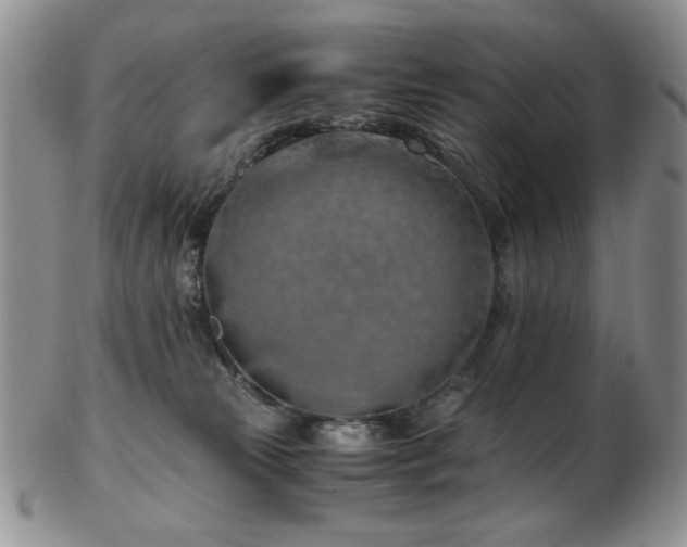 X0000103140181200808221224