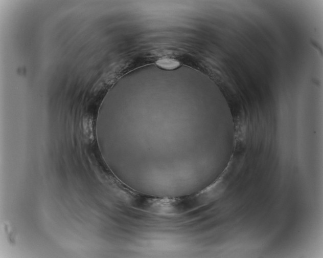 X0000103140182200808221224