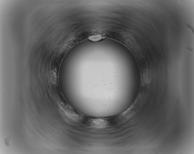 X0000103140183200808221224