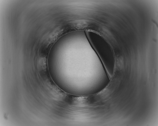 X0000103140184200808221224