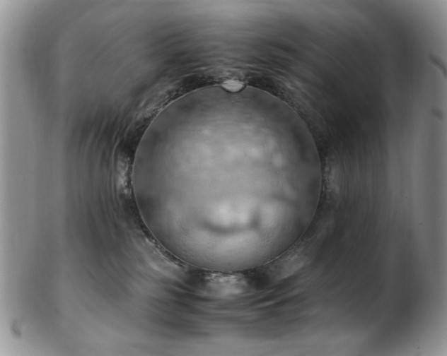 X0000103140185200808221224