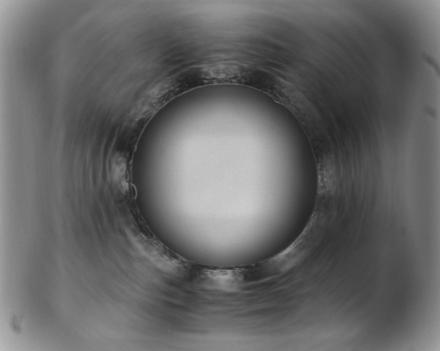 X0000103140187200808221224