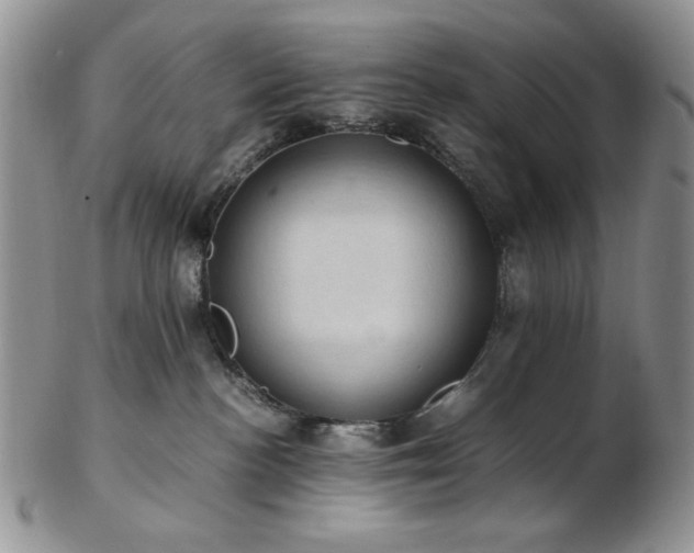 X0000103140188200808221224