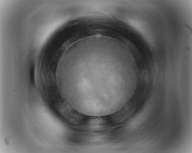 X0000103140189200808221224