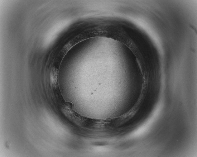 X0000103140190200808221224