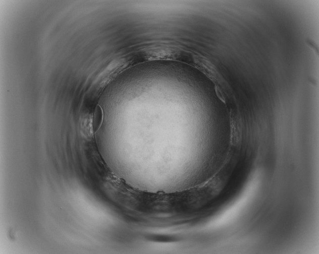 X0000103140191200808221224