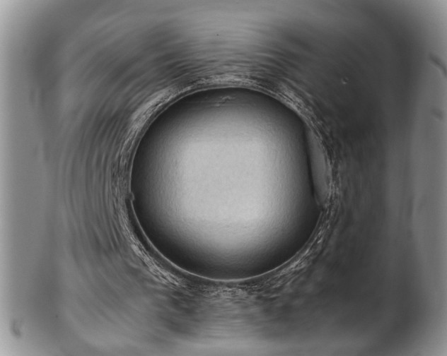 X0000103140193200808221223