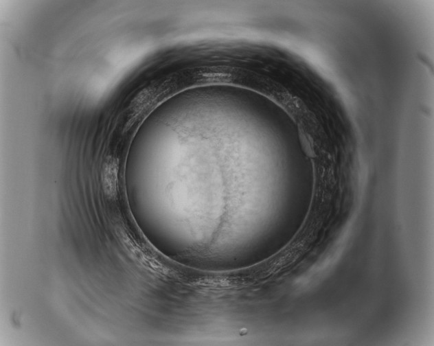 X0000103140194200808221223