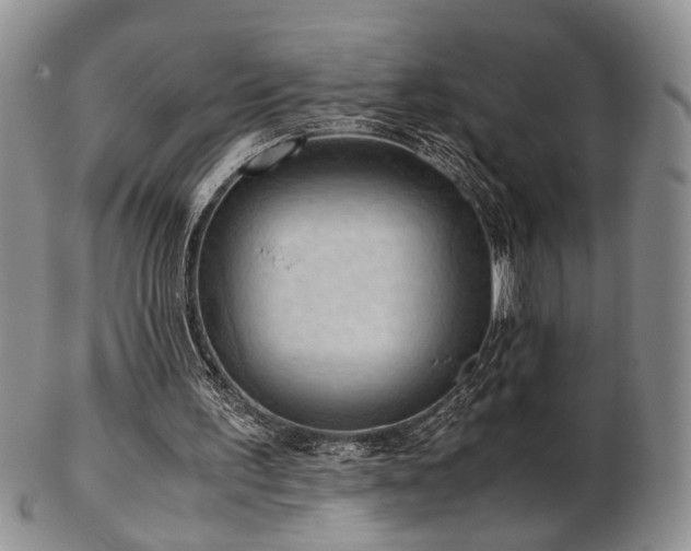 X0000103140195200808221223