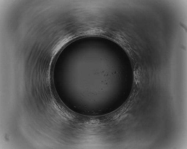 X0000103140196200808221223