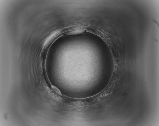 X0000103140197200808221223