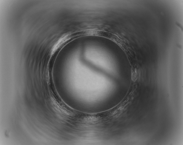 X0000103140198200808221223