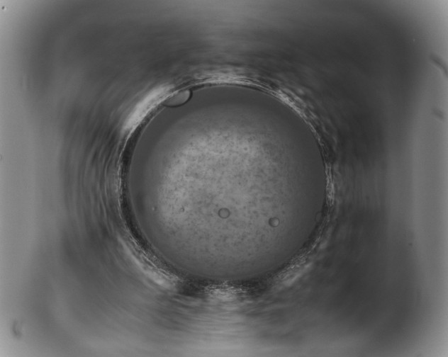 X0000103140199200808221223