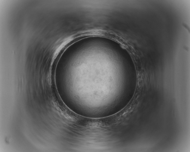 X0000103140200200808221223