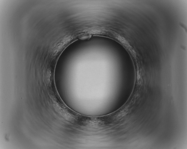 X0000103140201200808221223