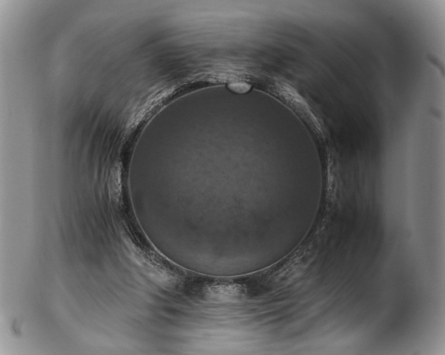 X0000103140202200808221223