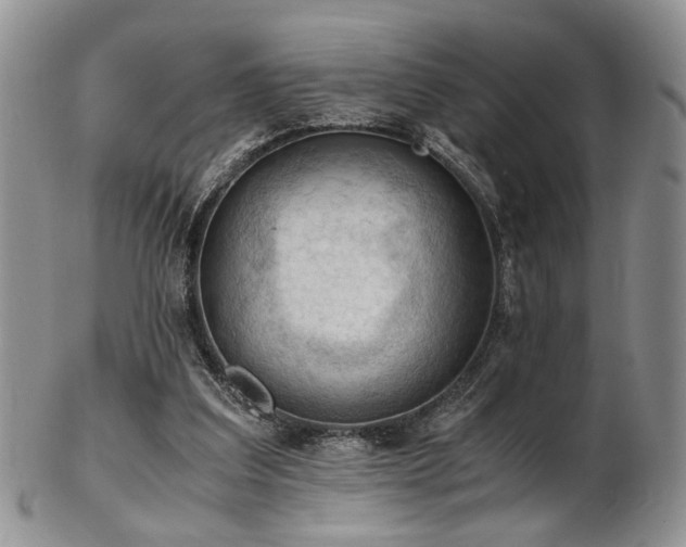 X0000103140203200808221223