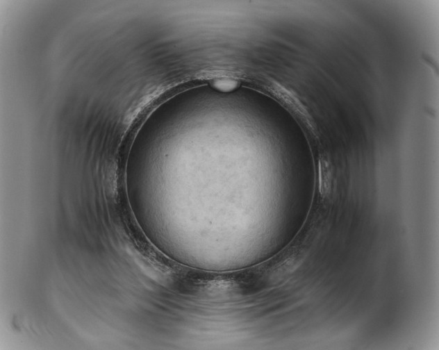 X0000103140204200808221223