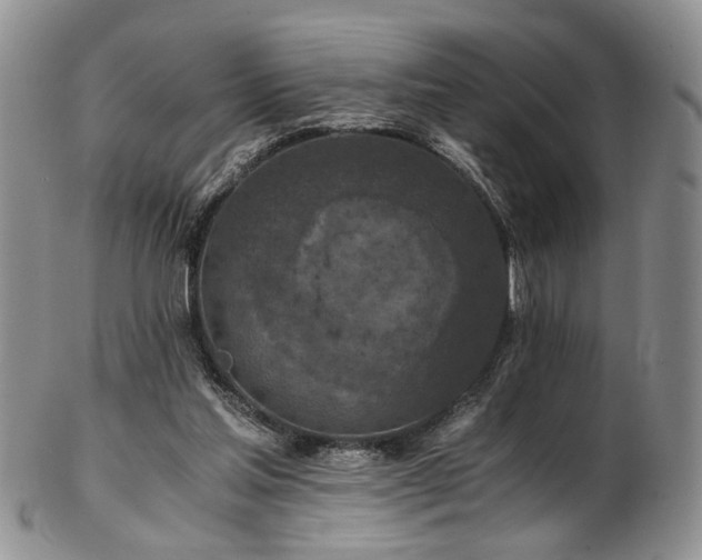 X0000103140205200808221223