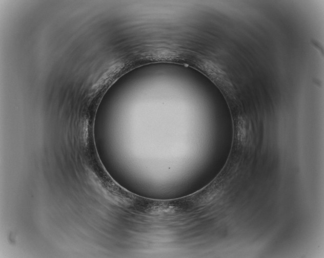 X0000103140206200808221223