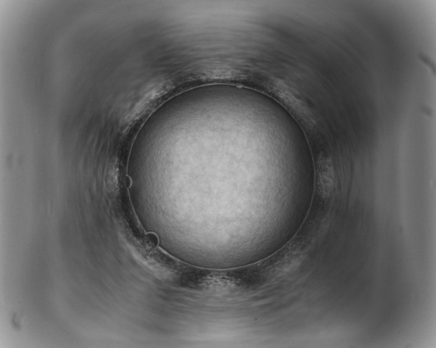 X0000103140207200808221223