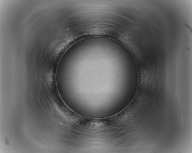 X0000103140208200808221223