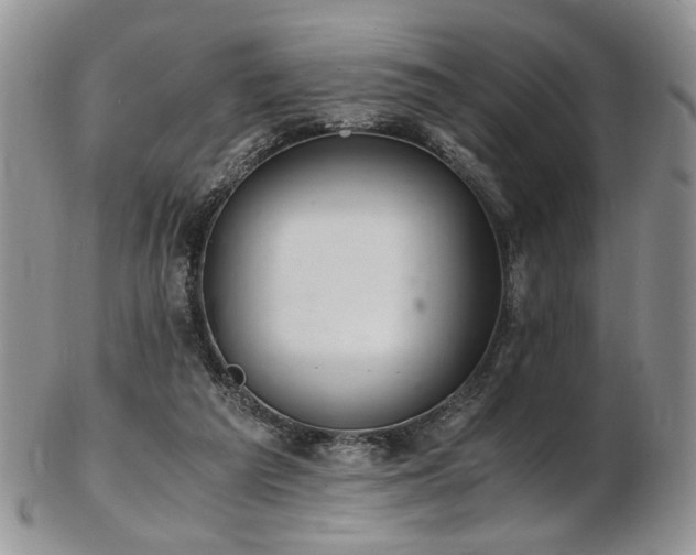 X0000103140209200808221223