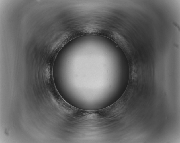 X0000103140210200808221223