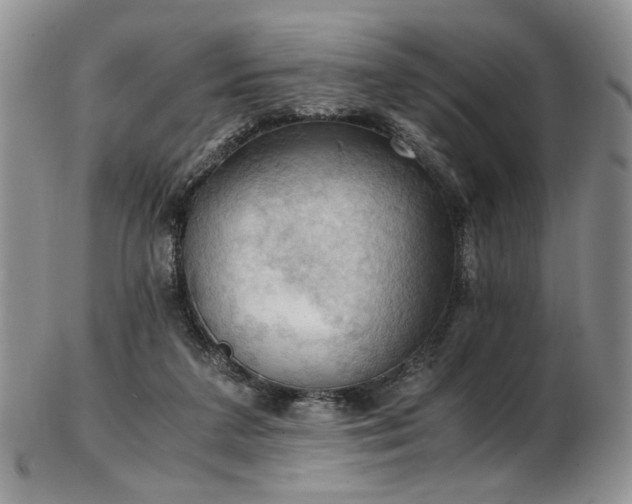 X0000103140211200808221223