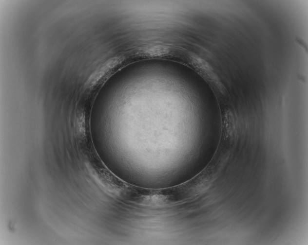 X0000103140212200808221223