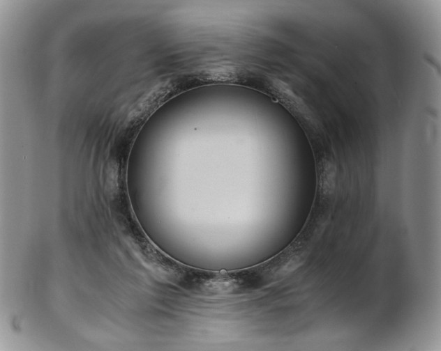 X0000103140213200808221223